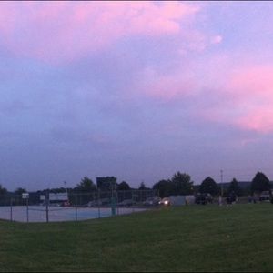 Meet your Posher, Molly